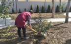 «Всероссийский экологический субботник»